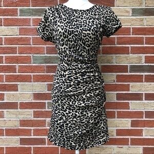 🐆 Sea New York Leopard Print Ruched Knit Black Tan Short Sleeve Mini Dress